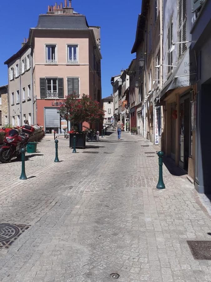 Trevoux: Loft Ravissant Avec Terrasse Trévoux Exterior foto